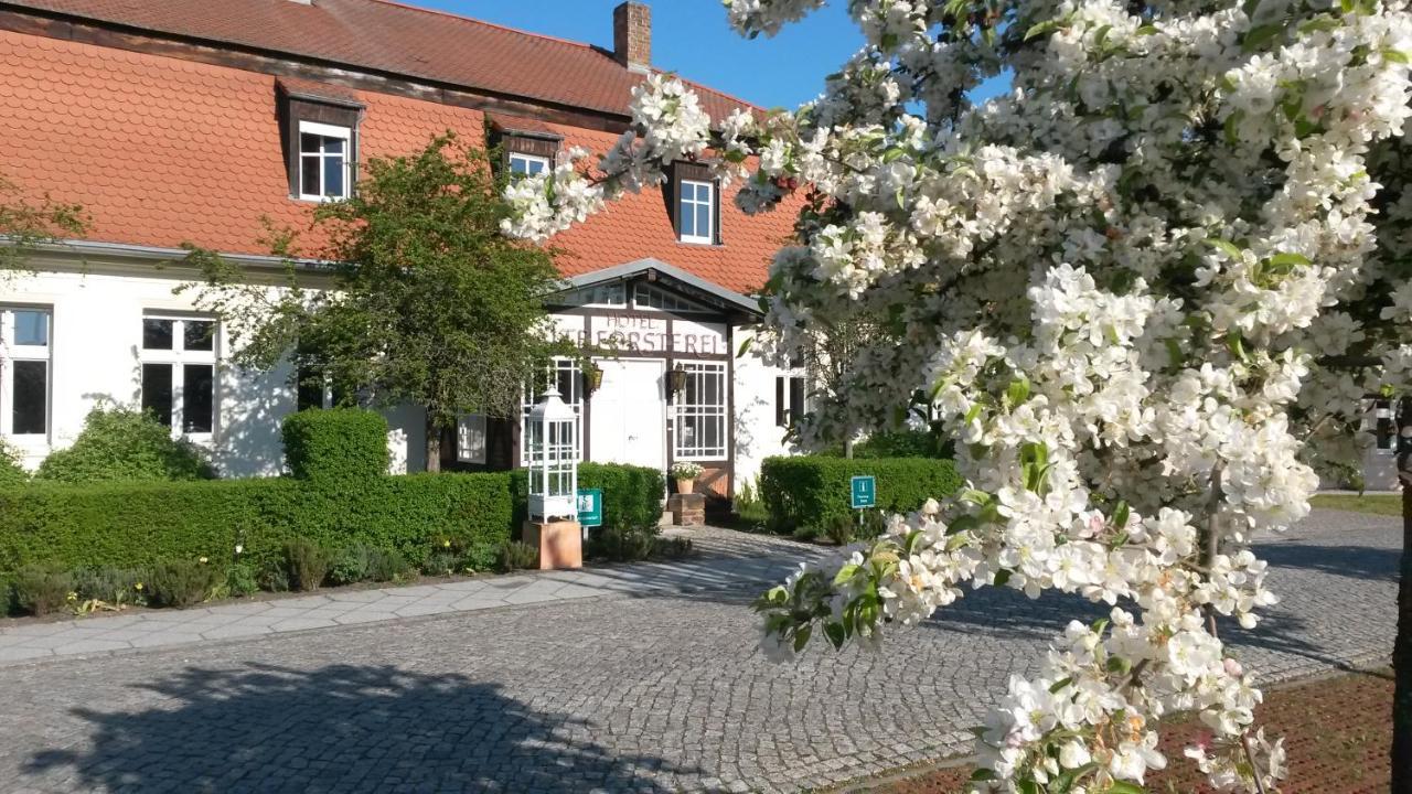 Hotel Alte Foersterei Kloster Zinna Extérieur photo